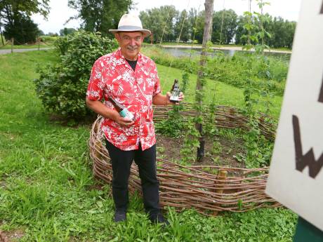 Hophoven schieten als paddenstoelen uit de grond in Altena: ‘We willen hét hopeiland van het land worden’