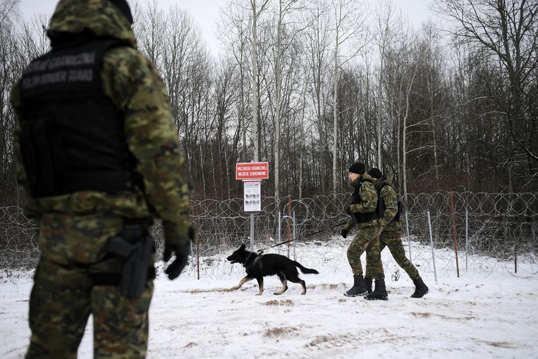 Poolse soldaten patrouilleren aan de grens met Wit-Rusland nabij Szudzialowo. Beeld EPA