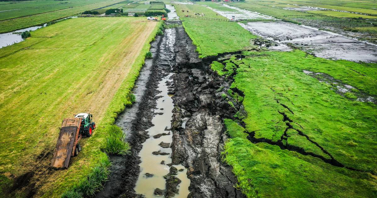 Doordat de jager vroeg buiten was, zag hij als eerste de dijkdoorbraak in #Reeuwijk.