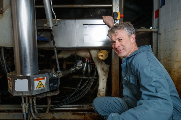 Etten-Leur - 20-11-2019 - Foto: Pix4Profs/Marcel Otterspeer - Veehouder Rene Vermunt.