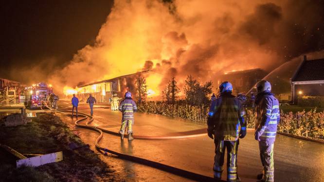 ‘Nieuw onderzoek nodig naar serie verwoestende branden op boerderij van boer Gert’