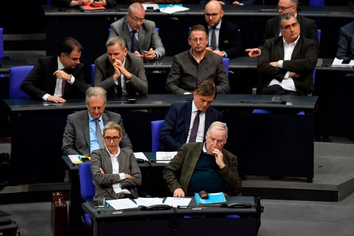 De AfD-fractie in het Duitse parlement. De partij is momenteel verwikkeld in een aantal rechtszaken omtrent partijfinanciering.