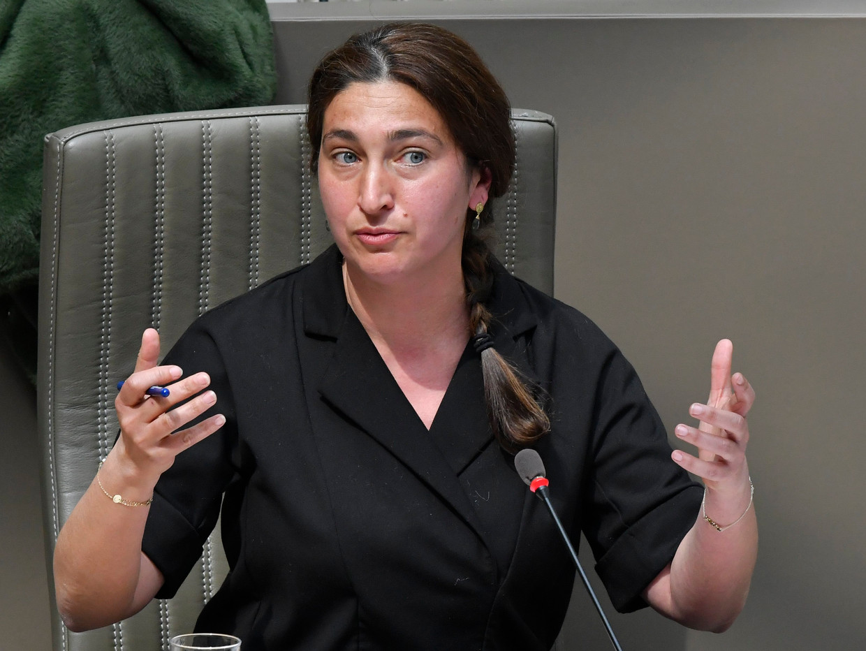 Minister van Omgeving Zuhal Demir (N-VA). Beeld Photo News