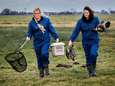 Dierenambulance en gemeente Hoeksche Waard bundelen krachten in strijd tegen vogelgriep