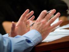 Schot in de zaak voor wonen boven winkelcentrum De Voldijn