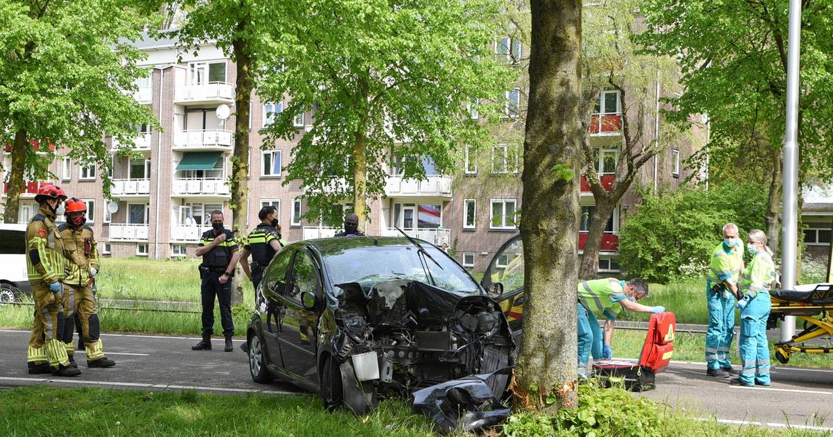 Vrouw gewond bij botsing tegen boom in Tilburg.