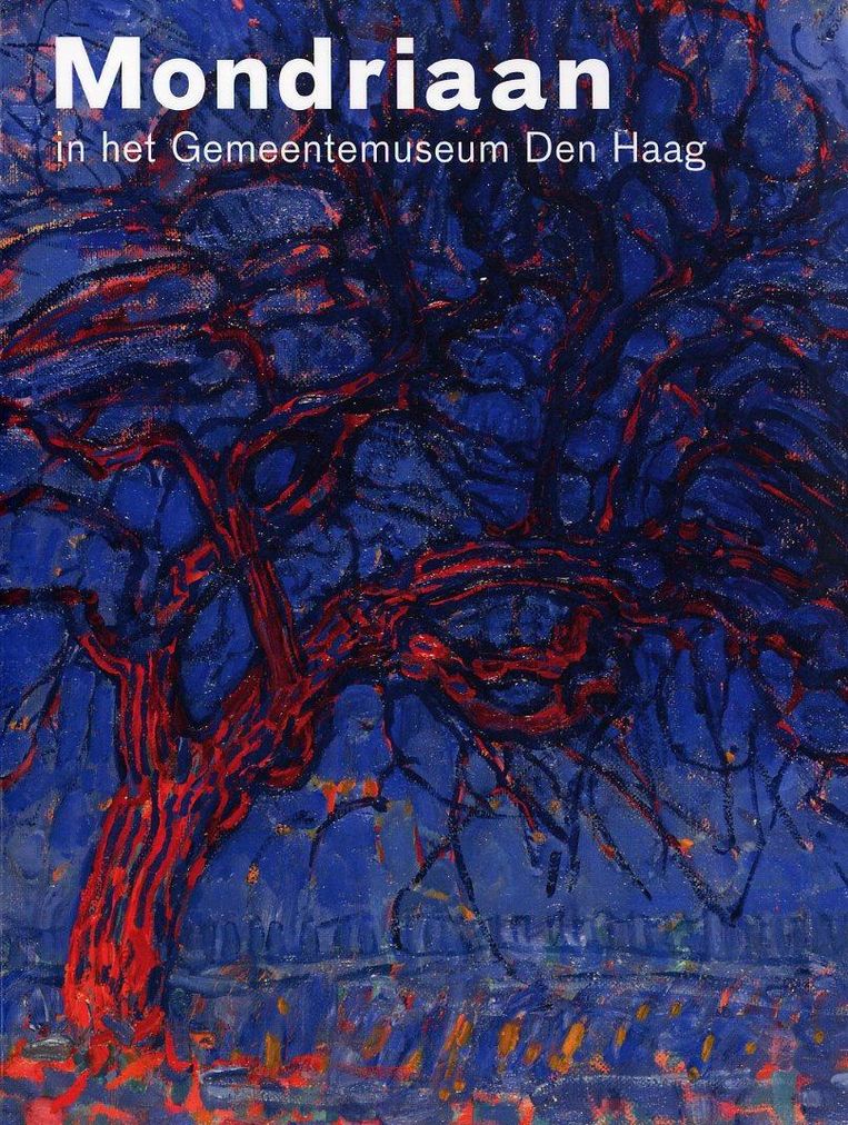 Mondriaan in het Gemeentemuseum Den Haag Beeld -