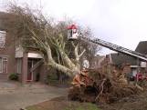 Westerstorm: schade door omgewaaide bomen