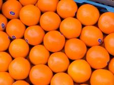 Sinaasappels op de weg op zes plekken in Limburg: ‘Alle schijn van gecoördineerde actie’