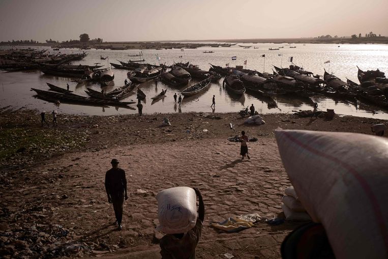 Mannen laden pirogues in de haven van Mopti, gelegen in de Niger Delta-regio van Mali. Beeld AFP