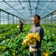 Hoe de pesticidelobby Europa voor de gek houdt. ‘Multinationals doen alsof ze de groene ambities van de EU omarmen’