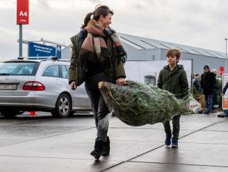 Kerstboomkwekers in de clinch met Ikea: “Meubelgigant vervuilt de markt in België”