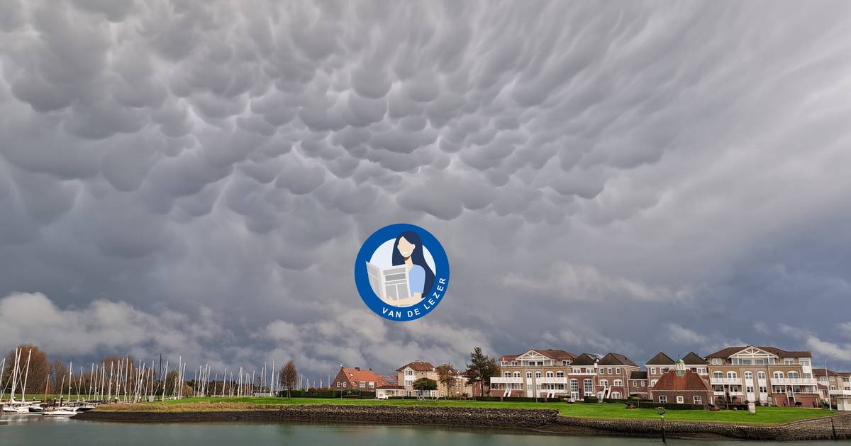 Hoe Wemeldinge mij in het hart sloot, en andersom | Gastschrijvers