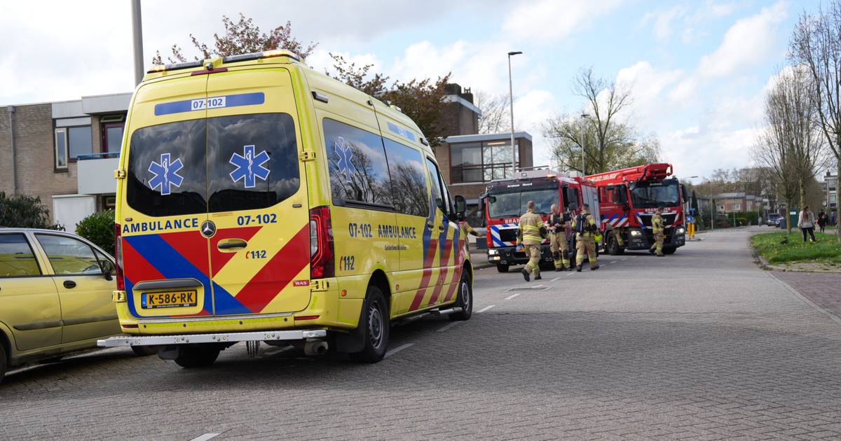 Bewoner Zet Aifryer Aan Maar Valt Dan In Slaap: Keuken Vol Rook 