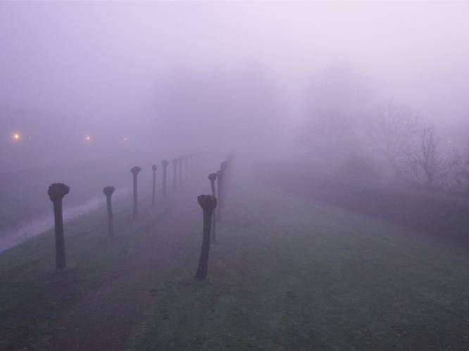 Mist of mistbanken in Gent in de nacht