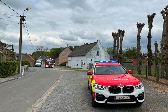 In het voetwegeltje vlakbij het speelpleintje tussen Benedenstraat en Bovenstraat in Papegem brandde een rieten afsluiting weg.