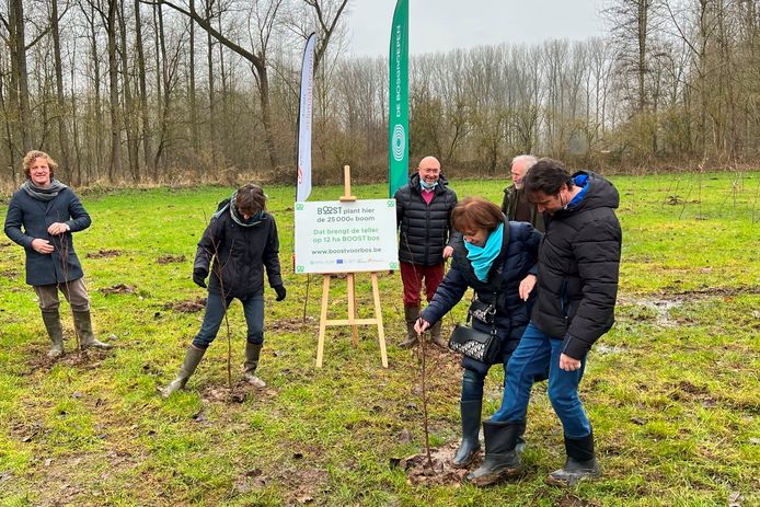 Met hulp van de bosgroepen zorgen Karel De Schrijver en zijn moeder Veerle De Wilde uit Vlierzele in De Geelstervallei  in Erondegem voor 2.150 nieuwe boompjes goed voor 1,3 hectare extra bos.