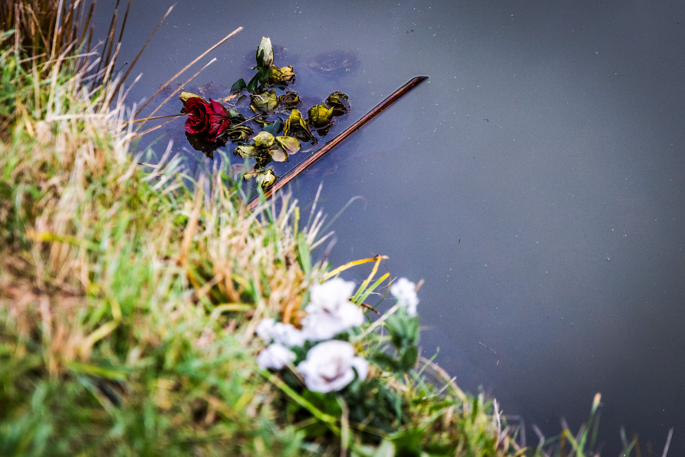 Mogos (18) zou naar feestje gaan, maar verdronk: familie betwijfelt of ...