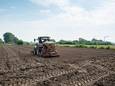 Stad Mechelen laat landbouwgrond inzaaien met hennep.