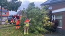 De brandweer is snel ter plekke als in de Hovenierstraat in Princenhage een boom tegen een huis is gewaaid. Het huis heeft slechts lichte schade opgelopen.