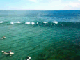 Dolfijnen zwemmen met surfers voor Australische kust en dat levert prachtige beelden op<br>