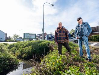 “Grasmachine zakt gewoon weg in de natte grond”:  buren wijzen naar stad voor wateroverlast, maar die ziet heel andere oorzaak