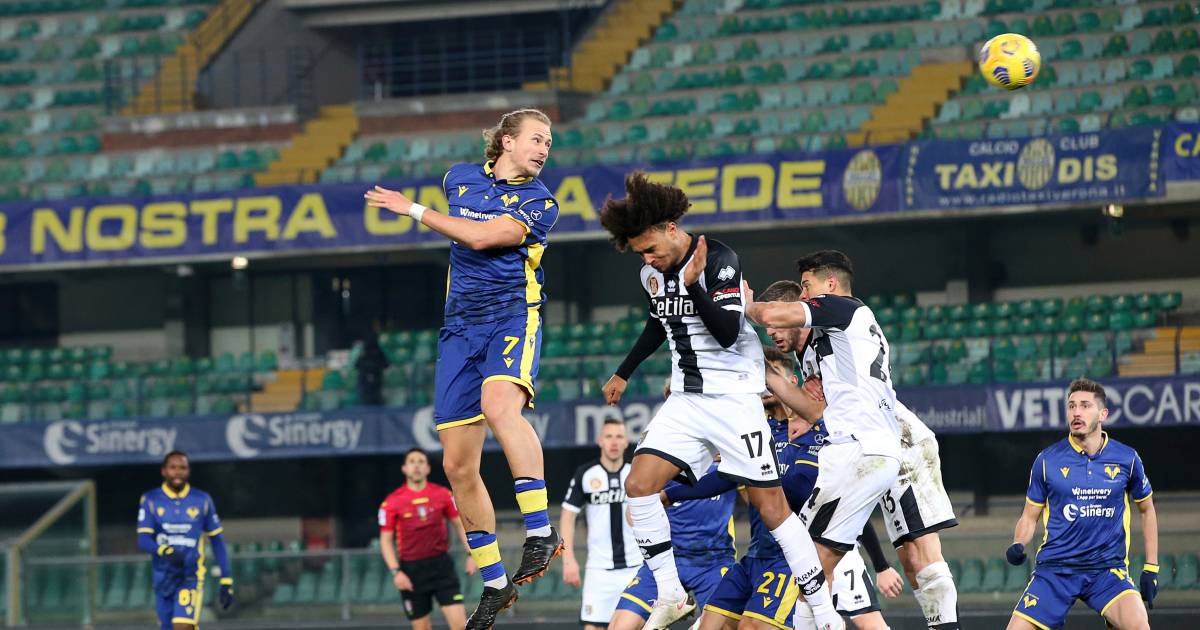 Bad Start For Zirkzee At Parma Knocked In The Air And Another Defeat Foreign Football Netherlands News Live