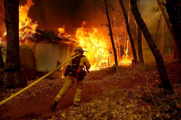 De bosbranden in Californië legden alleen al in het noorden van de staat ruim 60.000 hectare in as.