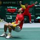 Nadal loodst Spanjaarden naar finale Davis Cup