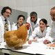 Knappe modellen gehesen in doktersjassen en wetenschappers die naar een reageerbuis staren: dit zijn de stereotypen in stockfoto’s