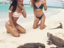 Madame Götze a fait une rencontre exceptionnelle aux Bahamas