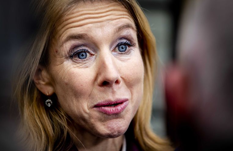 Stientje van Veldhoven, minister voor Milieu en Wonen.  Beeld ANP - Sem van der Wal