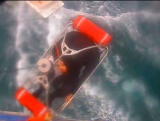Surfer wordt in Californië gegrepen door een witte haai maar overleeft de aanval: “Een kerstmirakel”