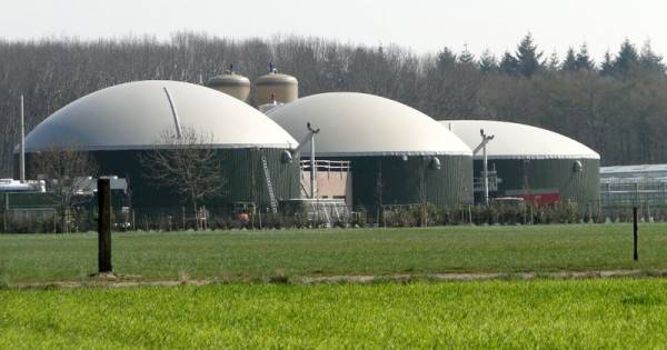 Veelbesproken BioMoer maakt mogelijk een doorstart, drie kandidaten in beeld