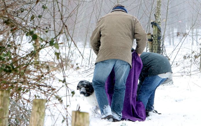 Hond door het ijs gezakt in Haaren.