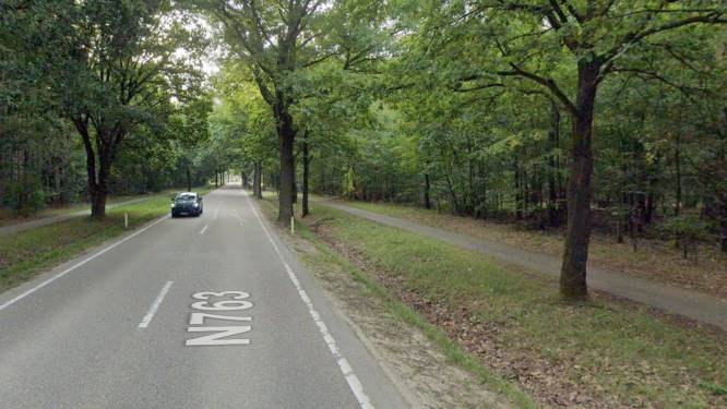 Everzwijn loopt fietser ondersteboven in Maasmechelen