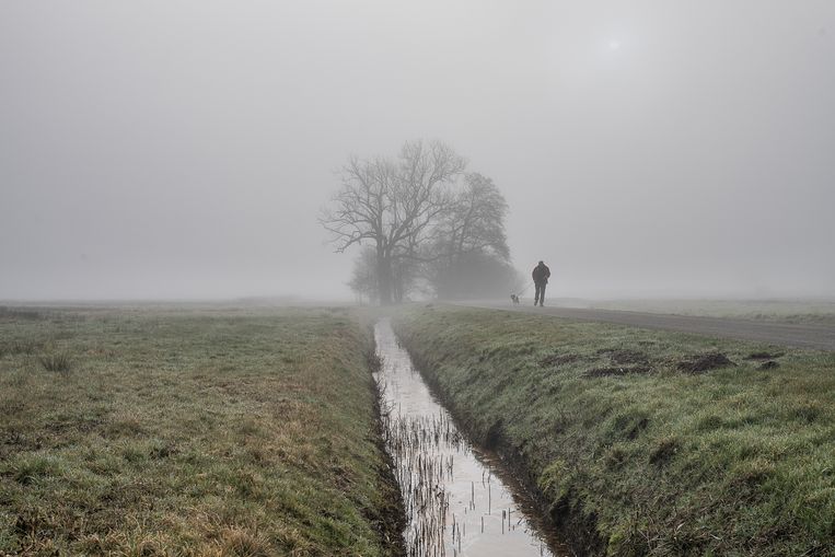 Het stroomgebied van de Drentse Aa is een van de Natura 2000-gebieden, die Nederland zelf heeft aangewezen. Beeld Harry Cock / de Volkskrant