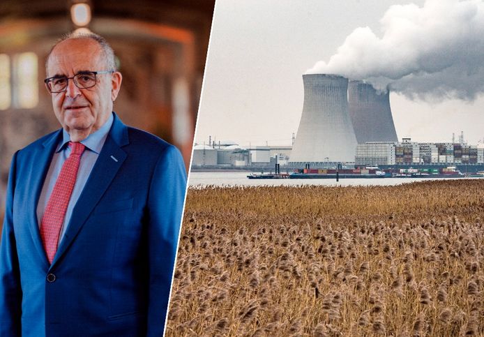 Fotomontage: Professor Ronnie Belmans (KU Leuven) en de kerncentrales van Doel.