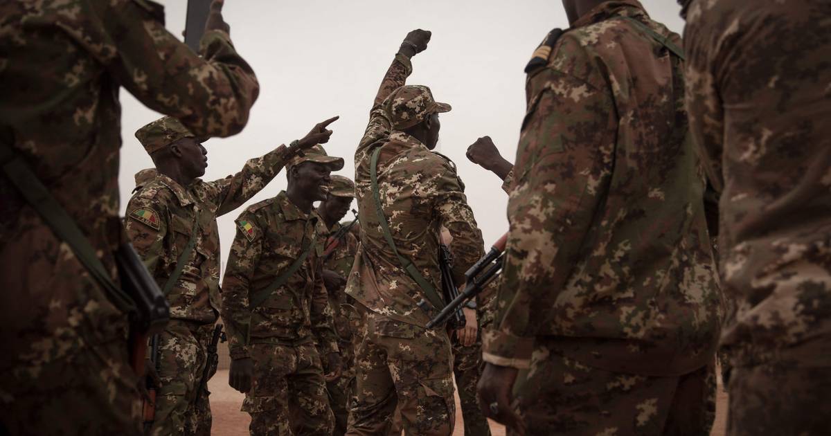 Малийская армия уничтожила более 200 «террористов» |  За рубежом