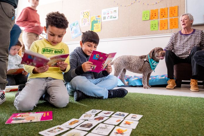 Leeshond Raeka helpt leerlingen van basisschool Ursulinen Mechelen beter te lezen