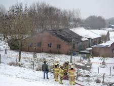 Drugsproductie mogelijk oorzaak van grote brand in schuur Doornenburg