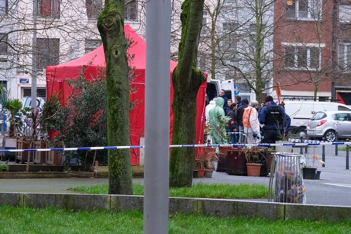 In de Brusselse gemeente Sint-Gillis is woensdagochtend een dodelijk slachtoffer gevallen bij een nieuwe schietpartij.