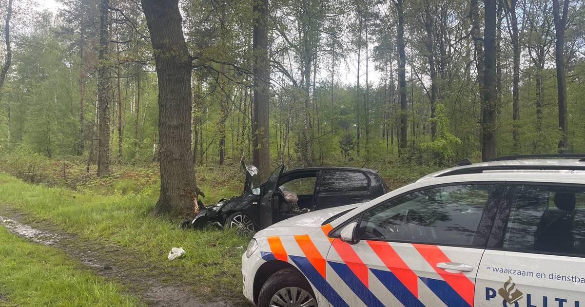 Bestuurder gewond na frontale botsing tegen boom in Winterswijk.