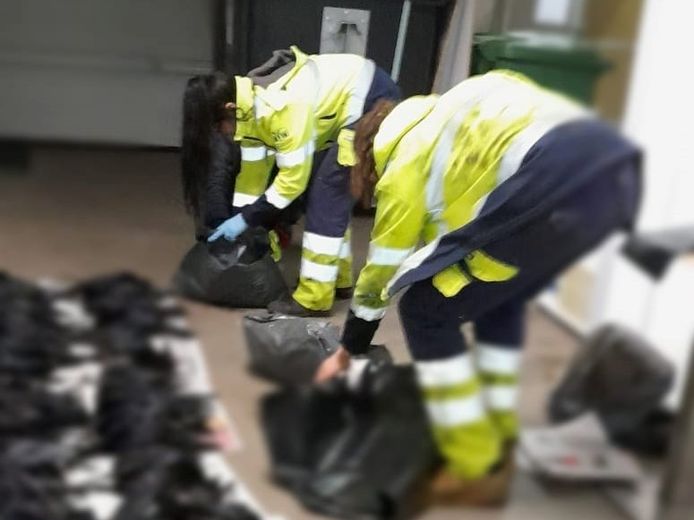 De dierenambulance in Groningen kreeg de schrik van hun leven toen ze na een melding van een omgevallen boom ruim 80 dode kraaien aantroffen.