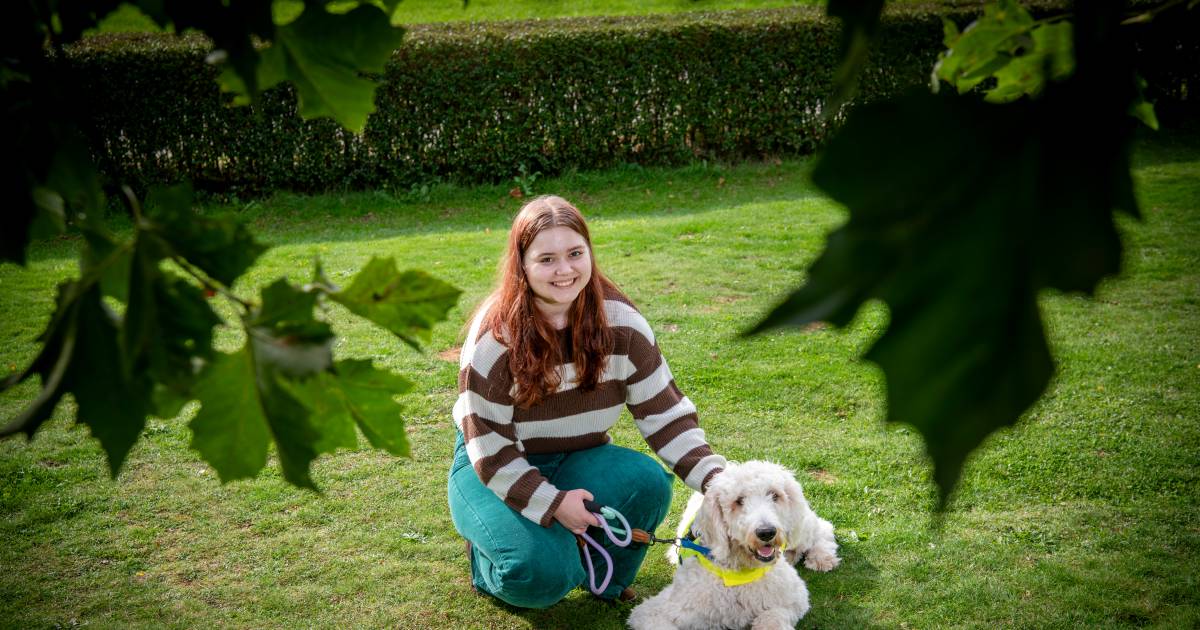 Flip veranderde het duistere leven van Daisy: ‘Ik kom eindelijk weer ...