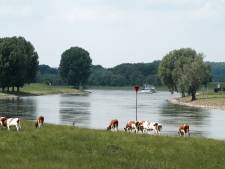 Boeren zien kadeverlaging in Rivierklimaatpark IJsseloord niet zitten; uitstel inloopavonden