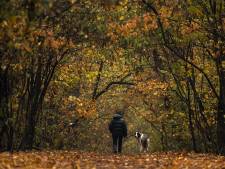 Dwalen in het bos, daar steekt de routemarketeer tegenwoordig een stokje voor