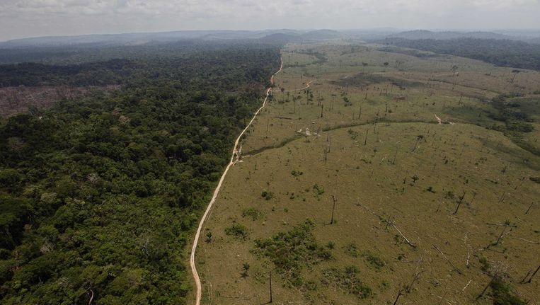 Een ontbost stuk grond in het Amazonegebied in Brazilië. Beeld ap