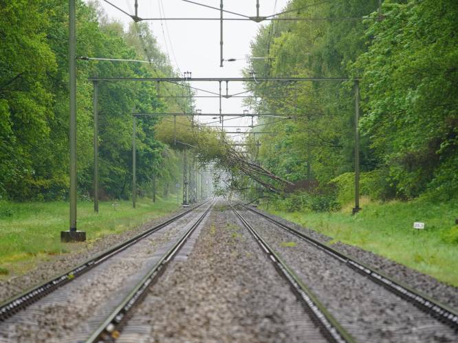 Problemen op spoor tussen Deventer en Zutphen opgelost, treinen rijden weer 