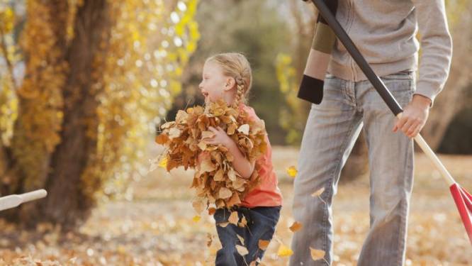Maak je tuin helemaal klaar voor de winter met deze tips